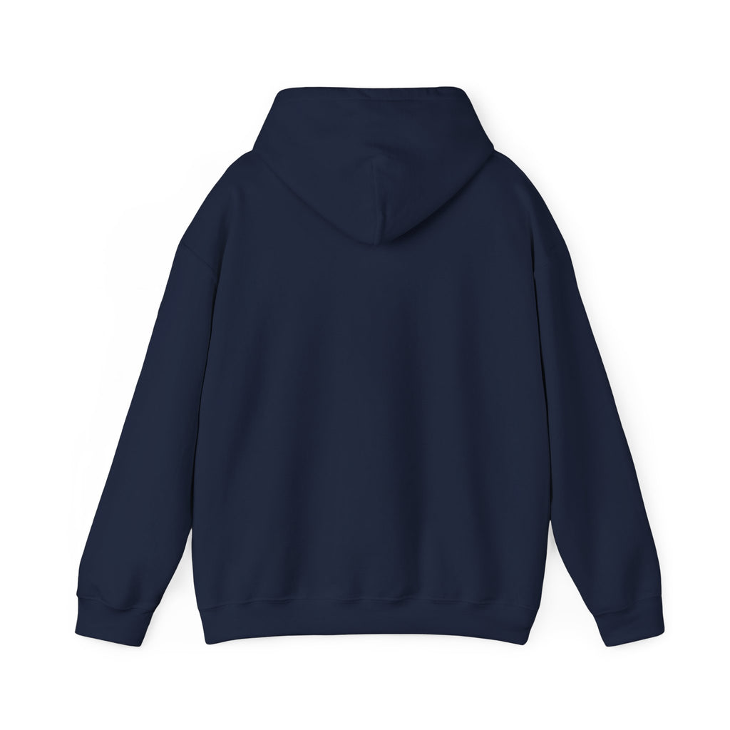 USA 250 Memorial Day Hoodie | 1776–2026 Vintage Distressed Americana
