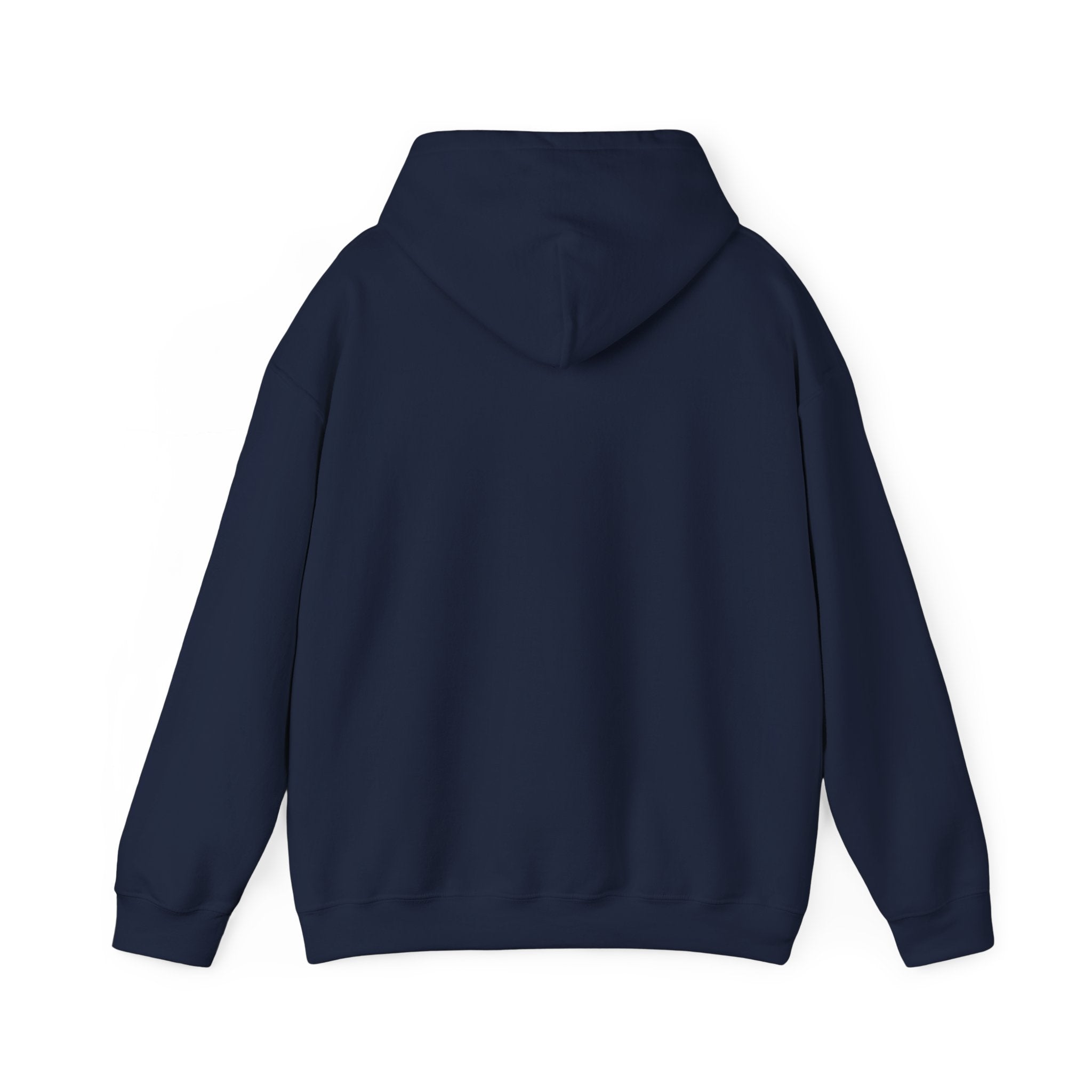 USA 250 Memorial Day Hoodie | 1776–2026 Vintage Distressed Americana
