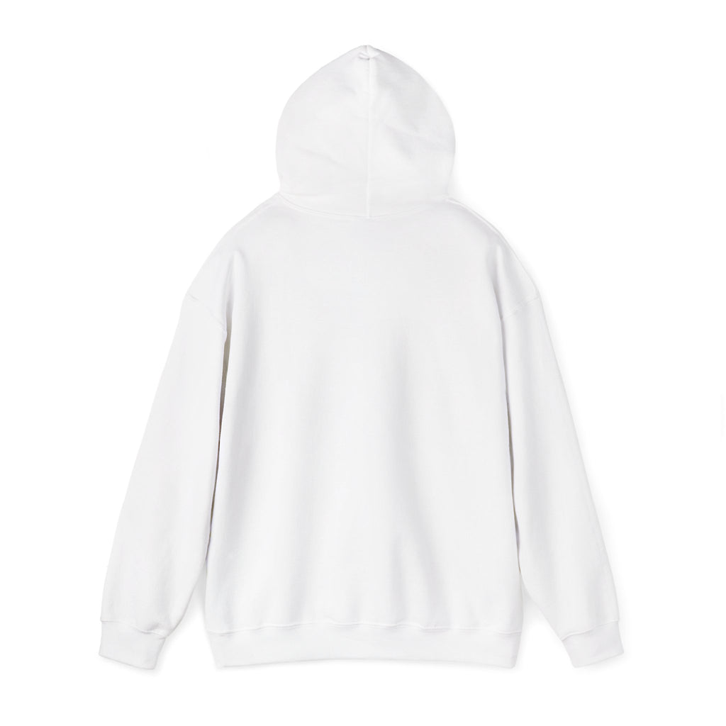 USA 250 Memorial Day Hoodie | 1776–2026 Vintage Distressed Americana