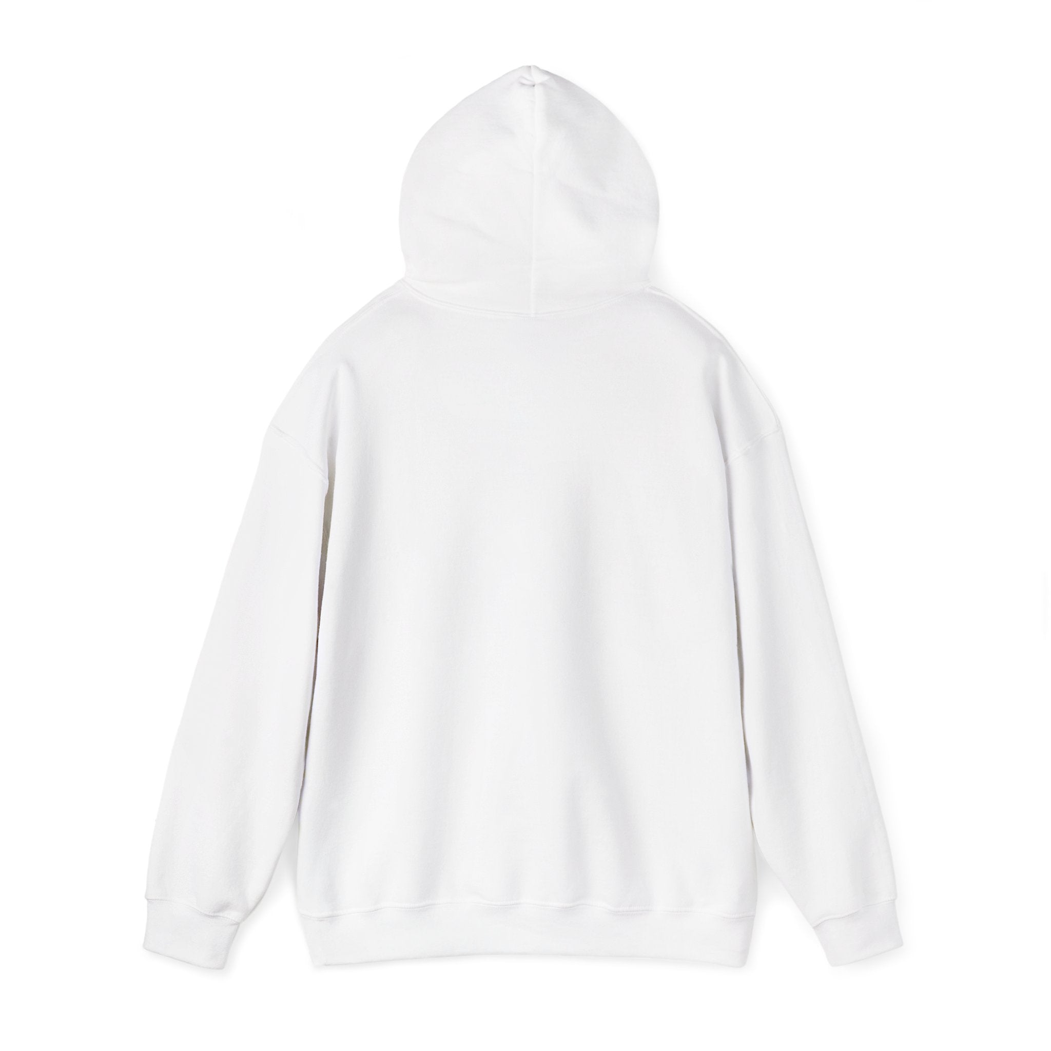 USA 250 Memorial Day Hoodie | 1776–2026 Vintage Distressed Americana
