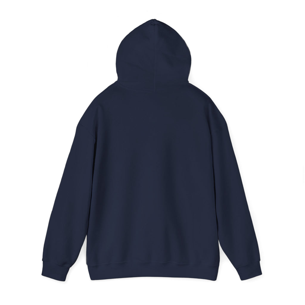 USA 250 Memorial Day Hoodie | 1776–2026 Vintage Distressed Americana