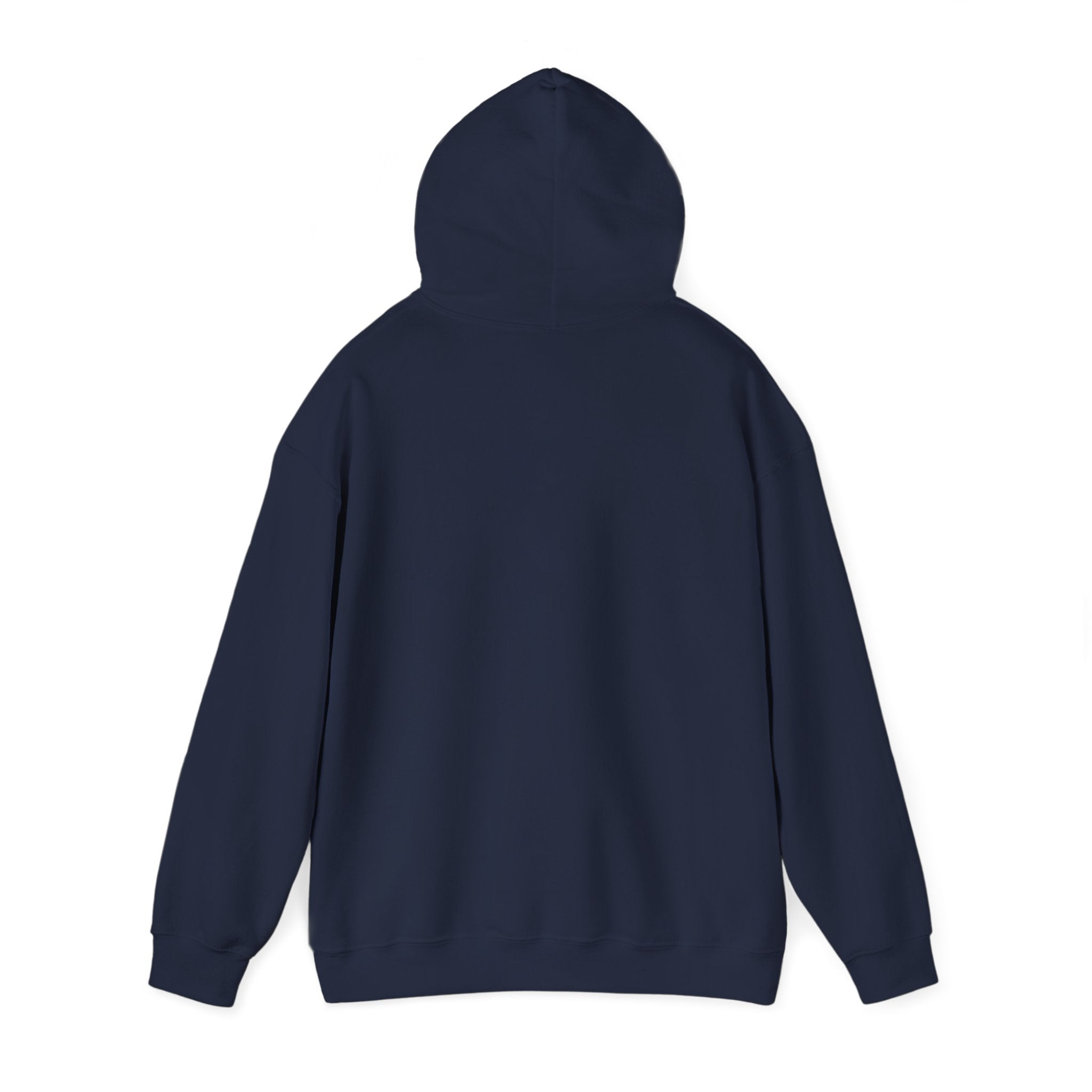 USA 250 Memorial Day Hoodie | 1776–2026 Vintage Distressed Americana